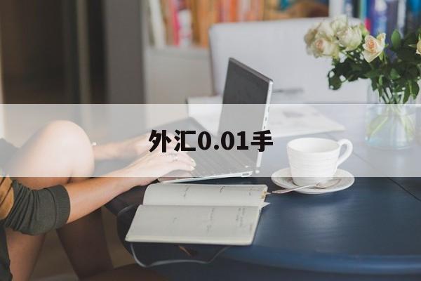 外汇0.01手(外汇001手是多少钱)